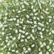 Miyuki Delica Duracoat 11/0 DB2163 - Silver Lined Dyed Willow x8g