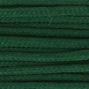 Hilo nylon trenzado europeo Griffin 0.5 mm Dark Green x25m