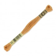 Hilo para bordar DMC Mouliné Spécial 117 MC Ocre (437) x8m|raw }}