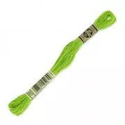 Hilo para bordar DMC Mouliné Spécial 117 MC Olivine (907) x8m