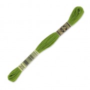 Hilo para bordar DMC Mouliné Spécial 117 MC Kaki (470) x8m|raw }}