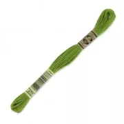 Hilo para bordar DMC Mouliné Spécial 117 MC Kaki (470) x8m