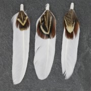 Doble pluma con terminal 70 mm Blanco x1