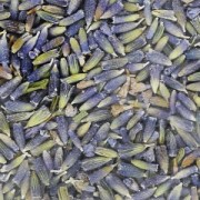 Flores secas de lavanda para jabón x4g|raw }}