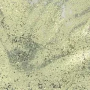 Glitter nacarante blanco en polvo para creación DIY de bombas de baño/jabón de baño Dorado x1g