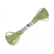 Hilo para bordar Seda d'Alger Vert Clair (3714) x5m