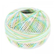 Hilo de algodón Lizbeth talla 20 Wild Flower n°109 x192m