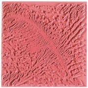 Placa de textura - Hojas de textura para arcilla 9 cm Poetry|raw }}