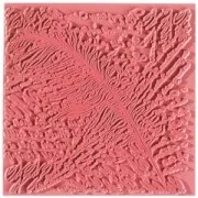 Placa de textura - Hojas de textura para arcilla 9 cm Poetry