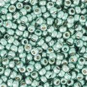 Rocalla Miyuki Duracoat 11/0 4216 - Espuma de mar galvanizada x8g