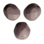 Carillas Pacifica Fig 4 mm x50|raw }}