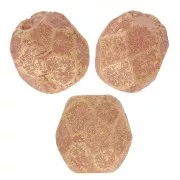 Facetadas 3 mm Pacifica Macadamia x50