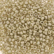 Cuentas Rocalla Miyuki Duracoat 11/0 4201 - Plata galvanizada x 100 g