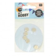 12 Imanes muy potentes - 10mm - My Hobby|raw }}