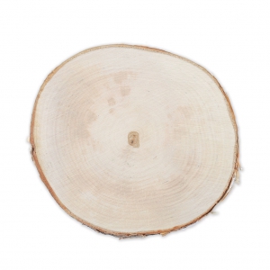 Grande Rodaja de madera bruto 180 - 220 mm para decorar DIY
