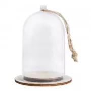Terrarium