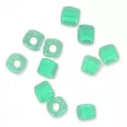 Cubos Miyuki 1.8 mm SB18-0219 - Crystal Dark Mint Green Lined x10g
