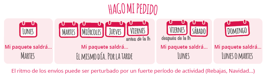 ¿Cuáles son los plazos de envío?