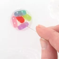 Hacer inclusiones con resina usando un molde : Paso 4 Hacer inclusiones con resina usando un molde : Paso 4