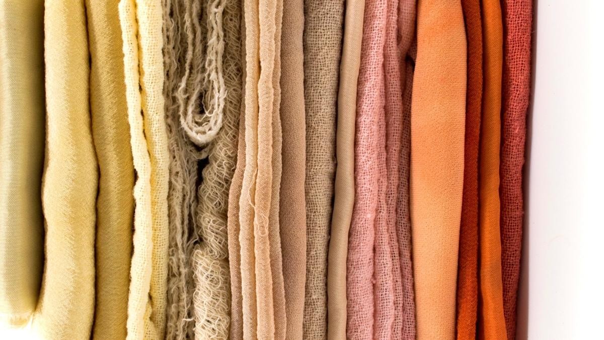 ¿Cuáles son los diferentes tipos de tejidos?