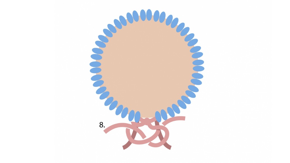 ¿Cómo rizar una piedra de macramé? : Paso 8 ¿Cómo rizar una piedra de macramé? : Paso 8