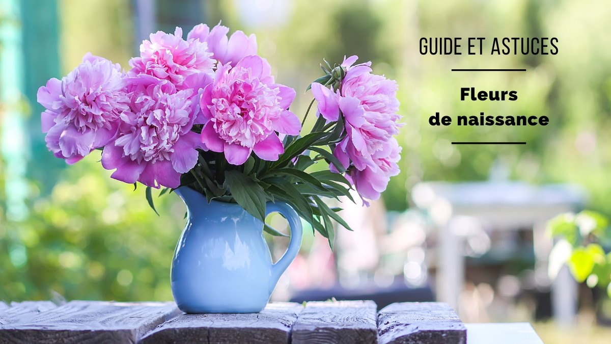 diciembre nacimiento flor acebo