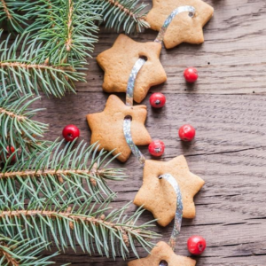 idée DIY guirlande de Noël