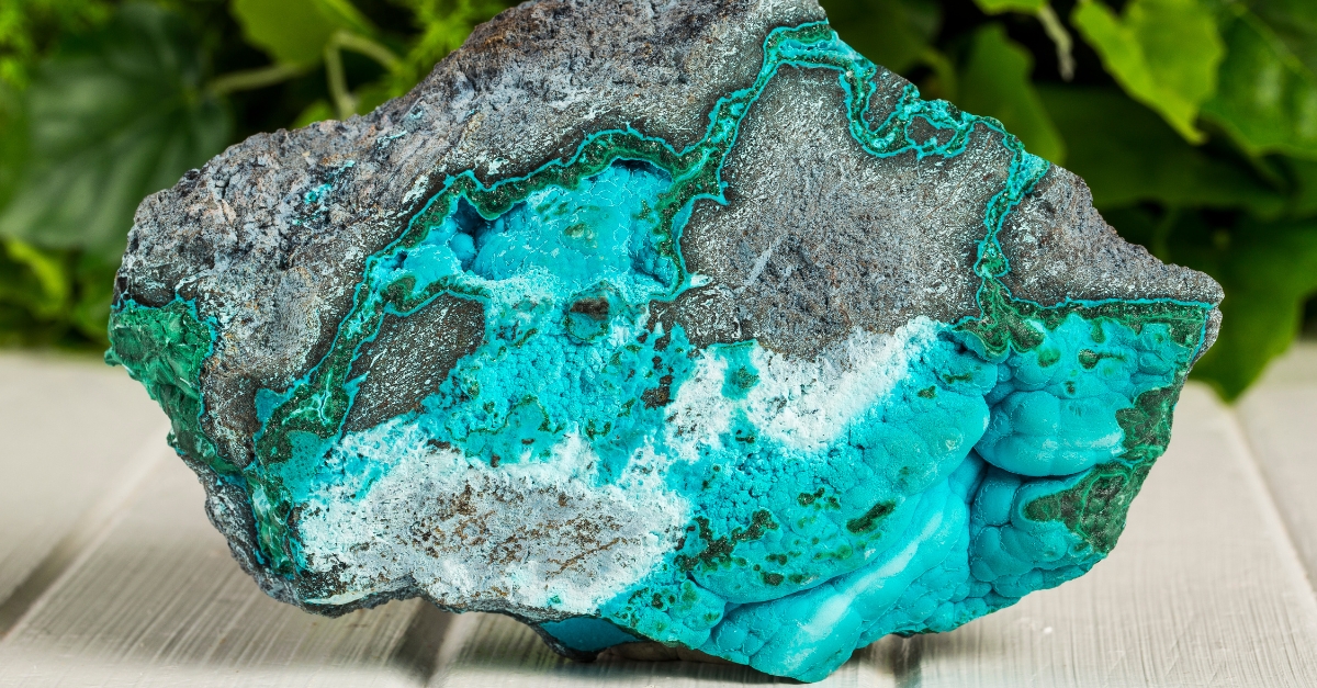 chrysocolle