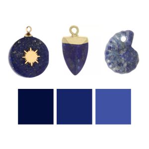 couleur signe poisson