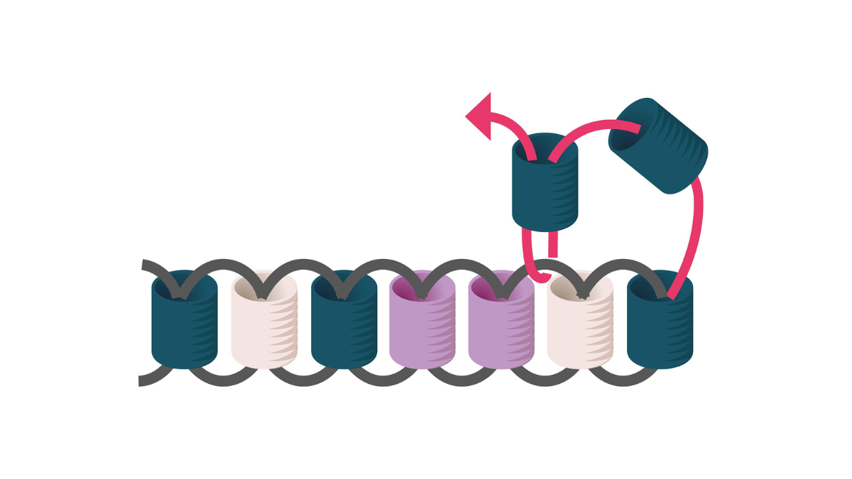 Cuentas Miyuki tejer regalos de navidad para invitados : Paso 4