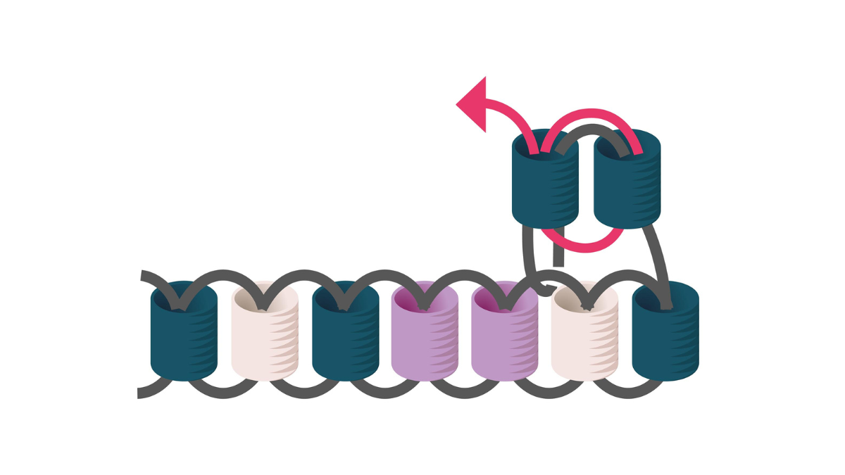 Cuentas Miyuki tejer regalos de navidad para invitados : Paso 5