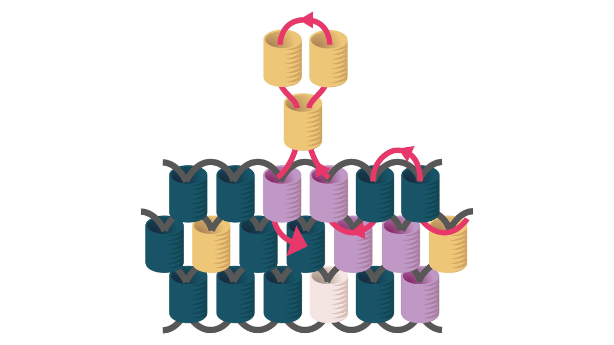 Cuentas Miyuki tejer regalos de navidad para invitados : Paso 6