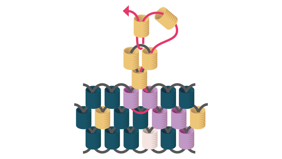 Cuentas Miyuki tejer regalos de navidad para invitados : Paso 7