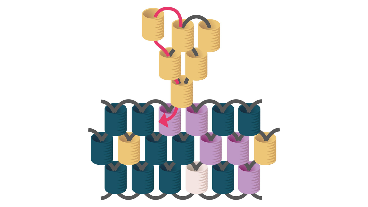 Cuentas Miyuki tejer regalos de navidad para invitados : Paso 8