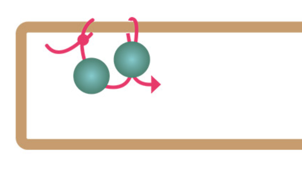 Pendientes rectangulares largos con cuentas de turquesa africana : Paso 1 Pendientes rectangulares largos con cuentas de turquesa africana : Paso 1