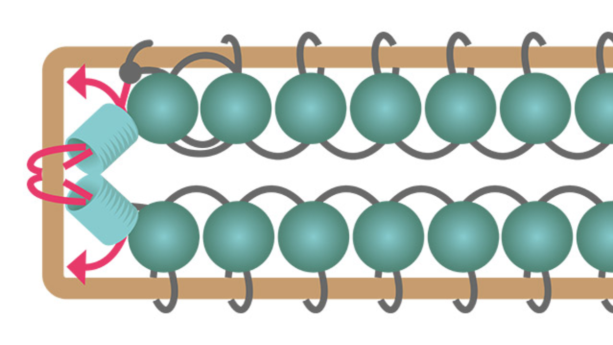 Pendientes rectangulares largos con cuentas de turquesa africana : Paso 5 Pendientes rectangulares largos con cuentas de turquesa africana : Paso 5
