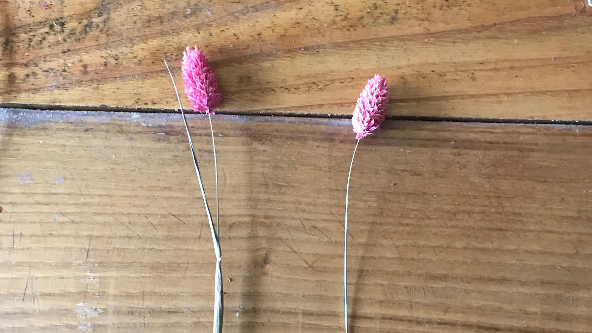 DIY Decoración bohemia - Corona de flores secas : Paso 3