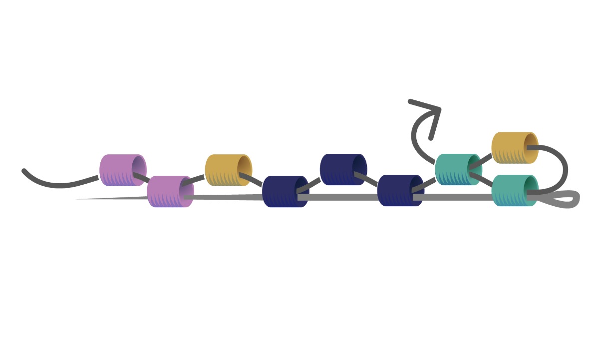 Pulsera en tejido de perlas Miyuki Técnica de par en peyote : Paso 3