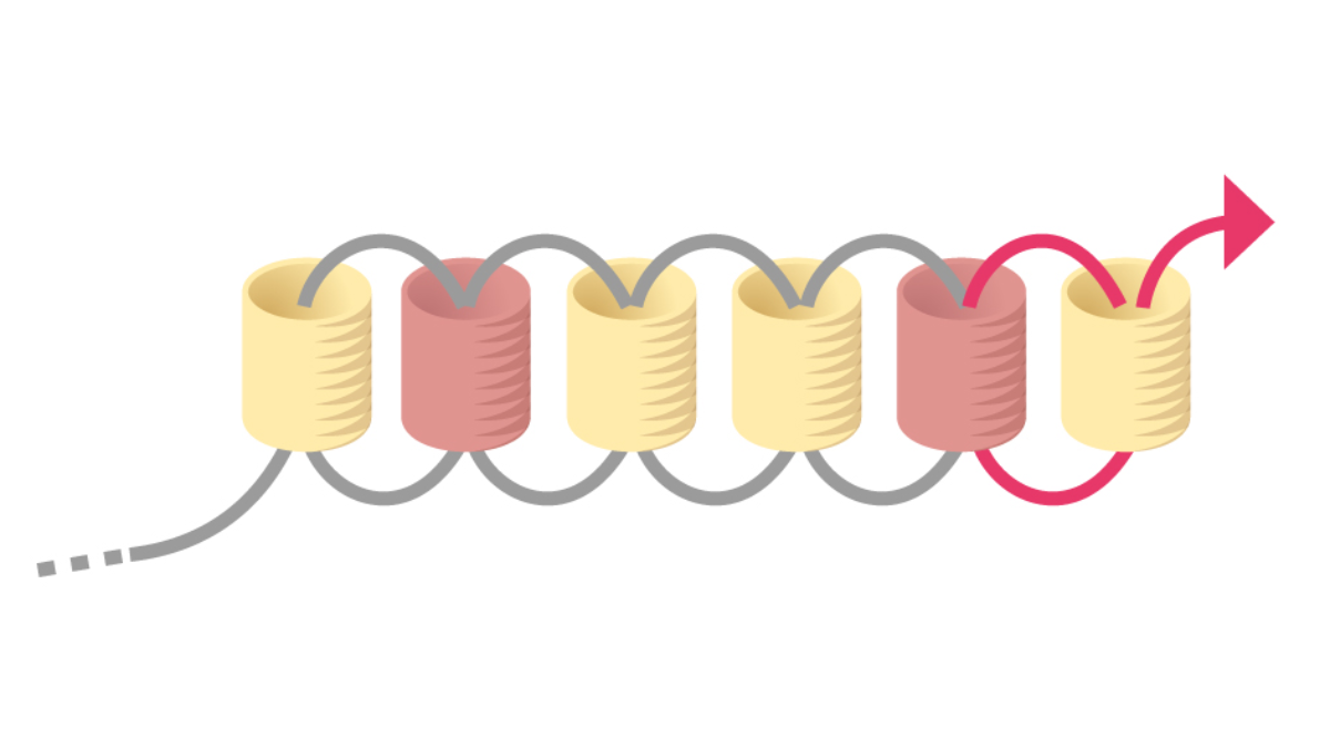 Pendientes Miyuki pastel Brick Stitch rejilla tejida : Paso 5