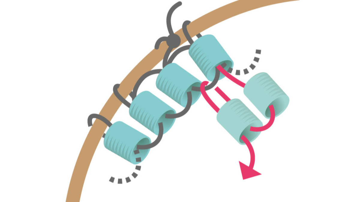 Pendientes de cuentas redondas de turquesa Brick Stitch : Paso 7