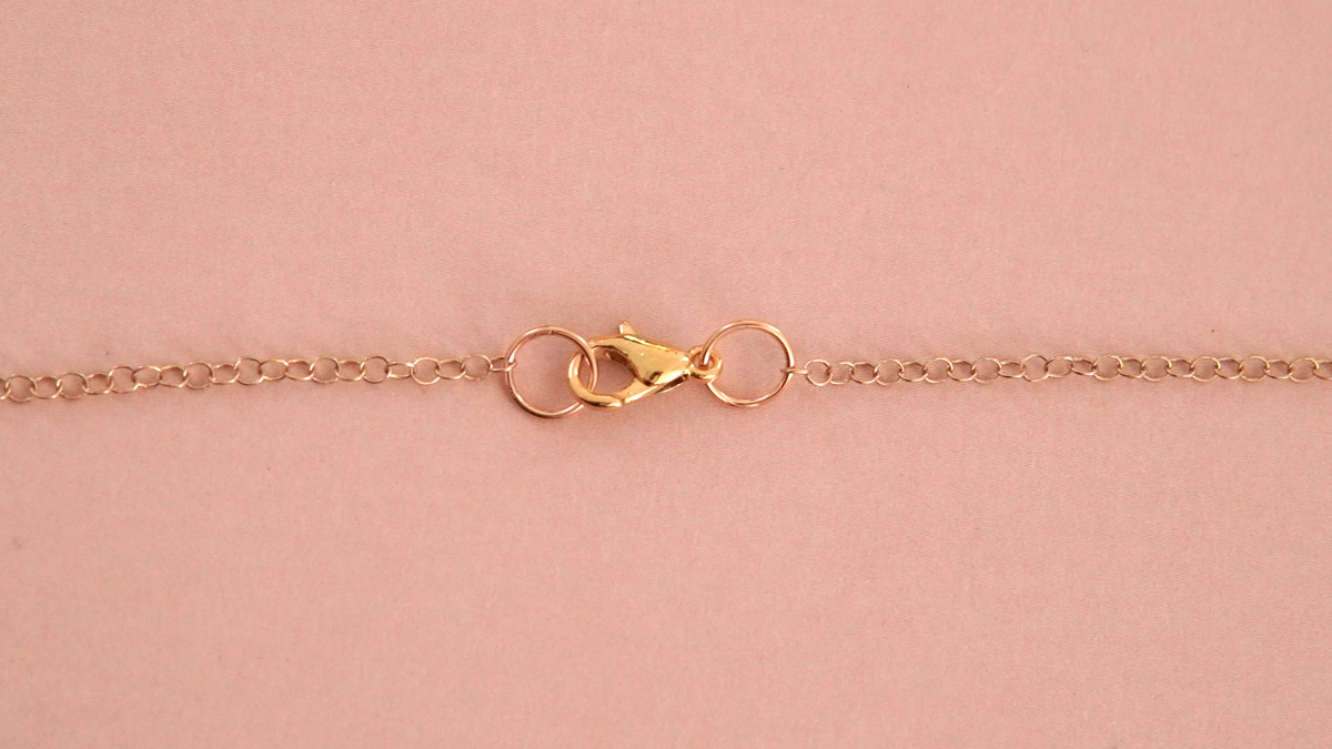 Collar largo con pétalos de flores rojas : Paso 4 Collar largo con pétalos de flores rojas : Paso 4