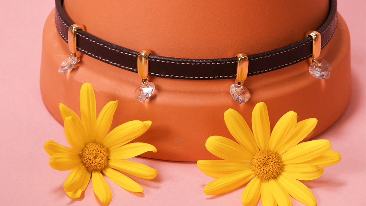 Esquema DIY Collar de perro : Cordón de cuero y cristales Esquema DIY Collar de perro : Cordón de cuero y cristales