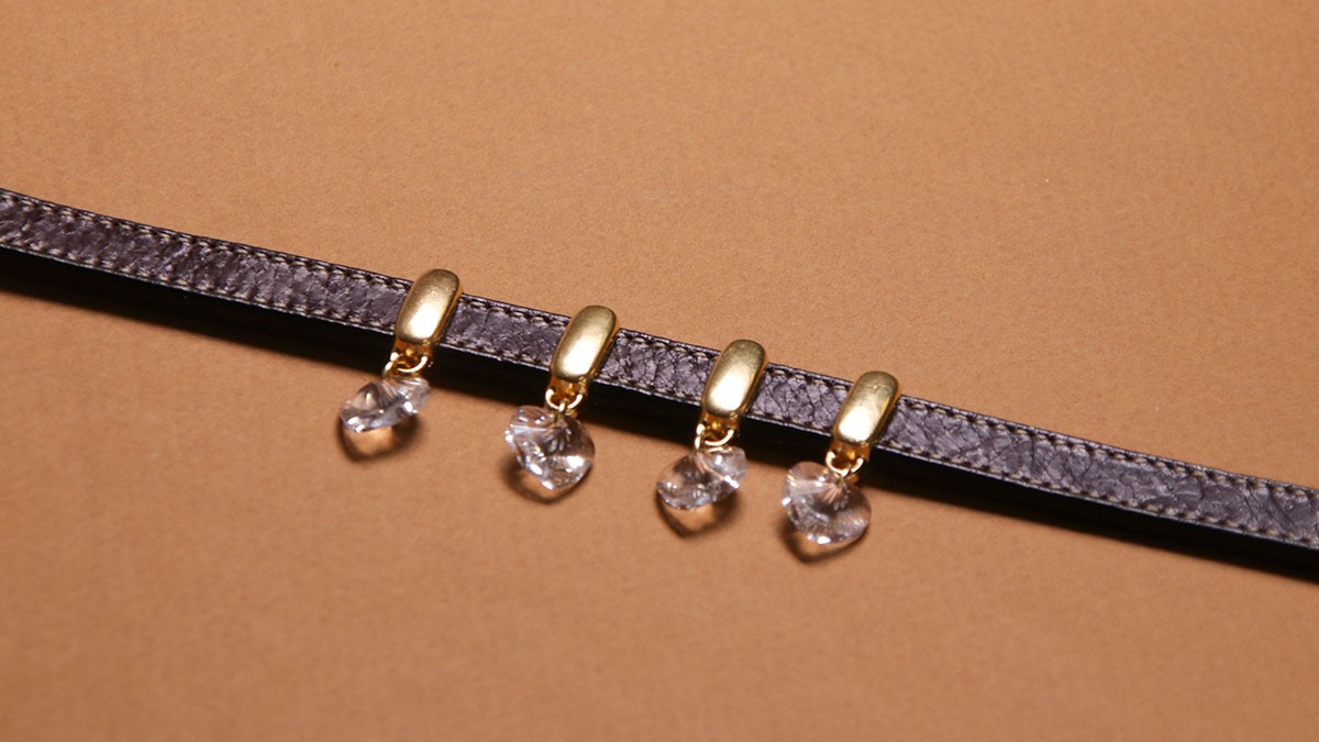 DIY Collar de perro : Cordón de cuero y cristales : Paso 3 DIY Collar de perro : Cordón de cuero y cristales : Paso 3