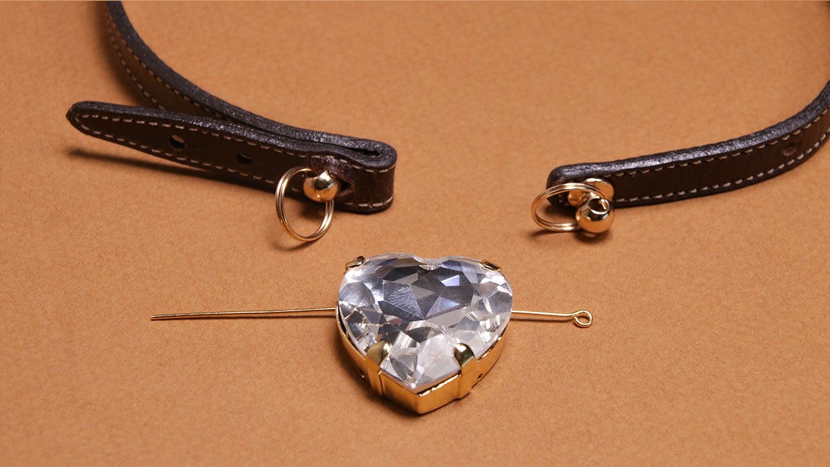 DIY Collar de perro : Cordón de cuero y cristales : Paso 7 DIY Collar de perro : Cordón de cuero y cristales : Paso 7