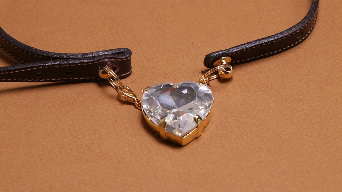 DIY Collar de perro : Cordón de cuero y cristales : Paso 11 DIY Collar de perro : Cordón de cuero y cristales : Paso 11