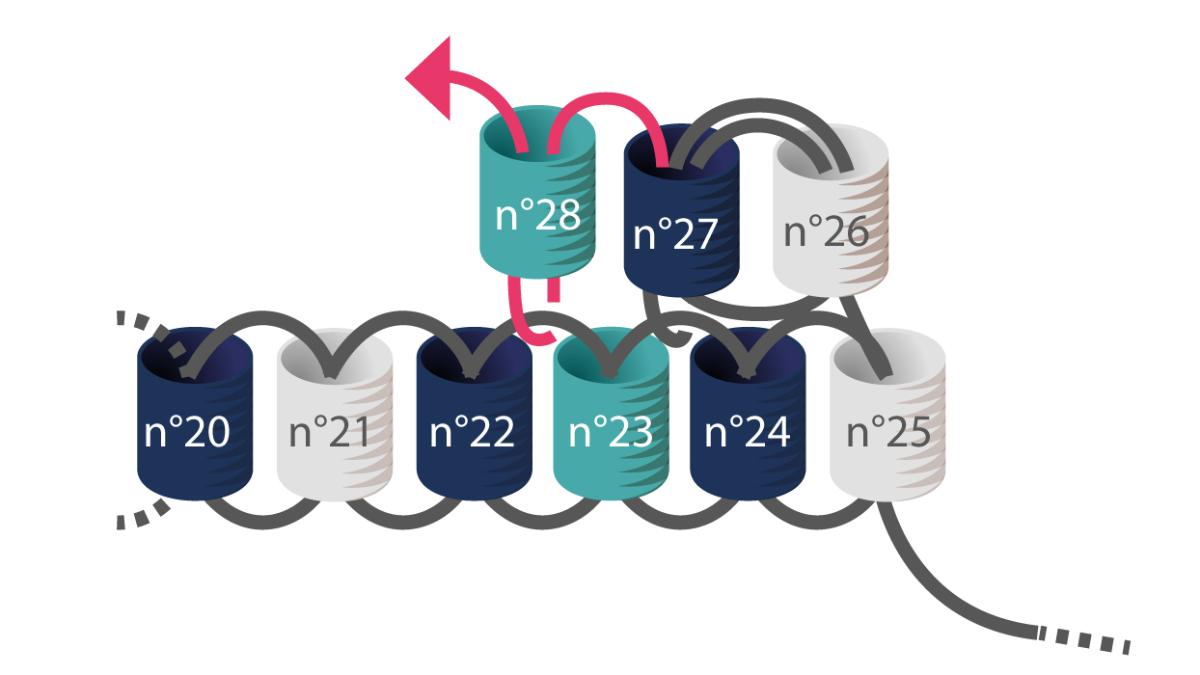 3 Pulseras Miyuki de punto de ladrillo y macramé : Paso 6