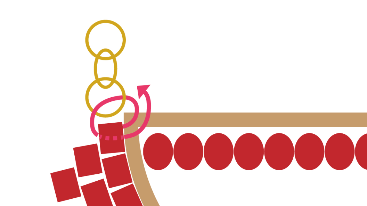 Miyuki collar media luna técnica punto de ladrillo : Paso 7