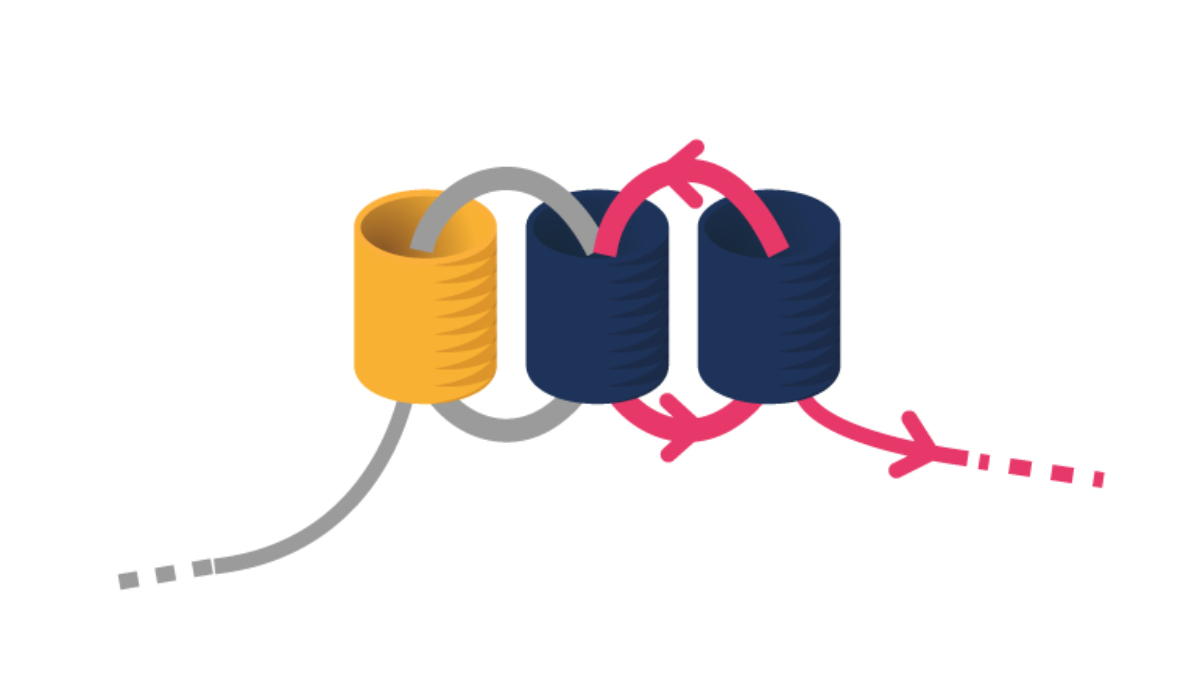 Pendientes Miyuki Punto de Ladrillo Triple : Paso 3 Pendientes Miyuki Punto de Ladrillo Triple : Paso 3