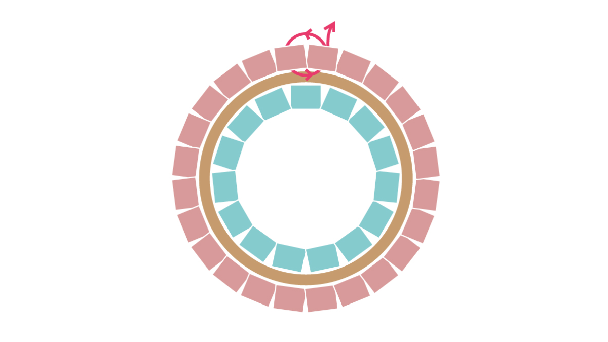 Collar Miyuki con colgante redondo Brick Stitch : Paso 7