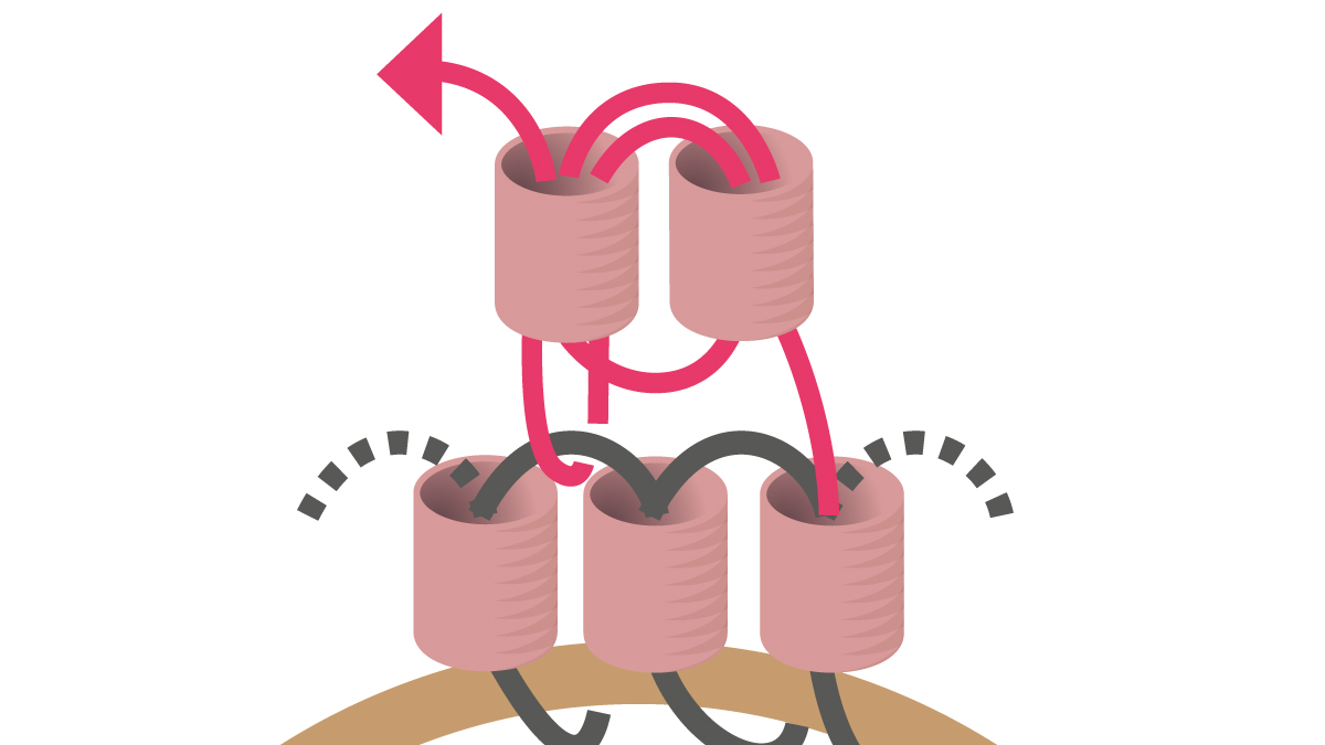 Collar Miyuki con colgante redondo Brick Stitch : Paso 8